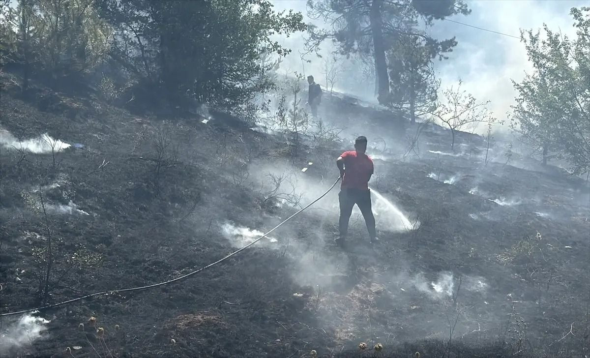 Son dakika yangın haberleri: İşte il il son dakika orman yangınları ve müdahaleler hakkında bilgiler - Sayfa 1