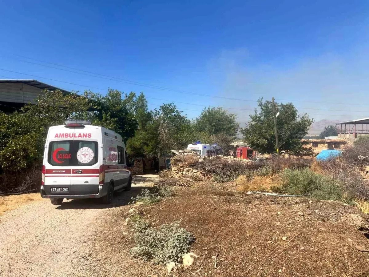 Son dakika yangın haberleri: İşte il il son dakika orman yangınları ve müdahaleler hakkında bilgiler - Sayfa 2