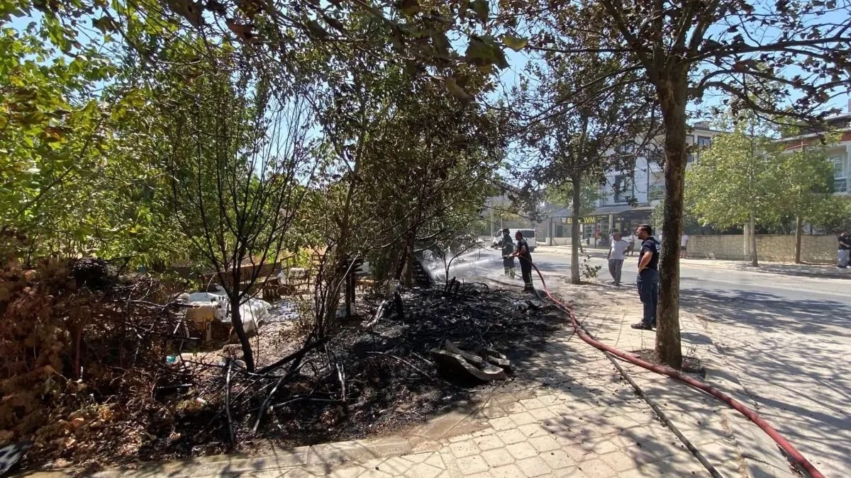 Son dakika yangın haberleri: İşte il il son dakika orman yangınları ve müdahaleler hakkında bilgiler - Sayfa 3