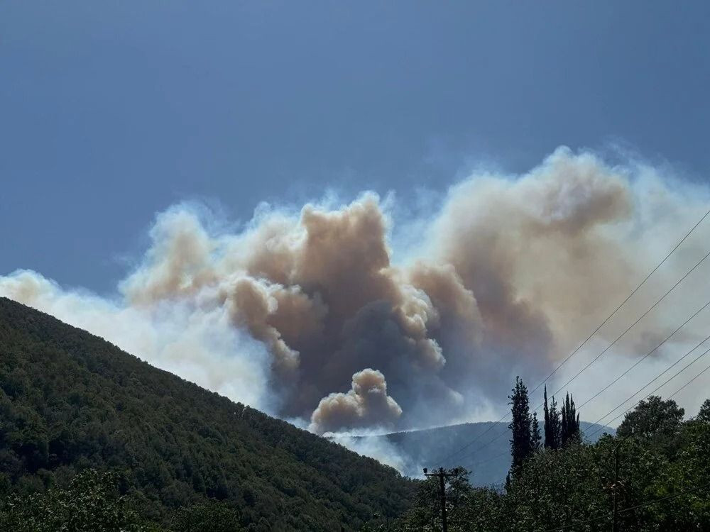 Orman yangınlarında son durum: Nerelerde orman yangını var, hangi illerde? - Sayfa 2