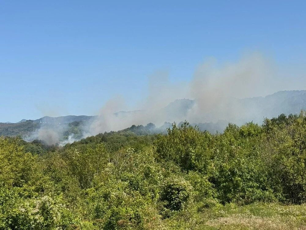 Orman yangınlarında son durum: Nerelerde orman yangını var, hangi illerde? - Sayfa 1