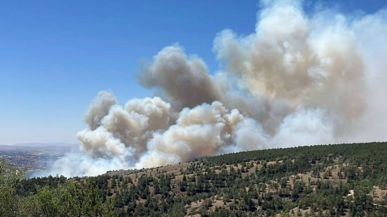 Son dakika yangın haberleri: İşte il il son dakika orman yangınları ve müdahaleler hakkında bilgiler - Sayfa 4