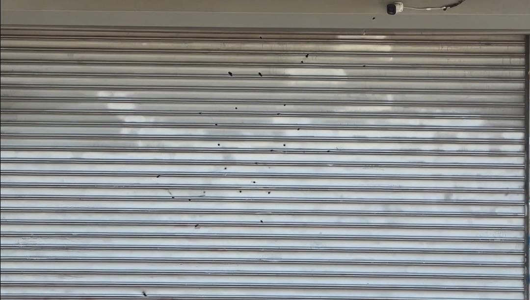 14 yaşındaki tetikçiler serbest: Karısının dükkanını beşinci kez kurşunlattı - Sayfa 4