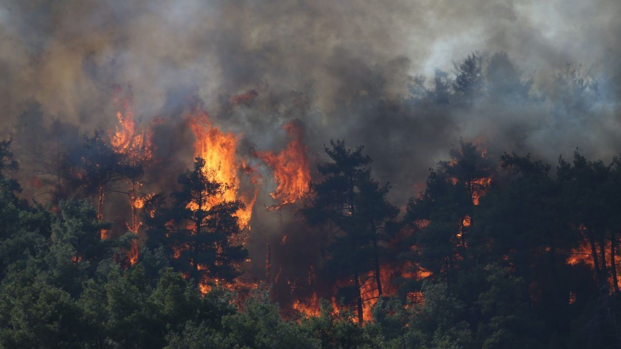 Gelibolu alevlerle boğuşuyor! 126 kişi tahliye edildi! - Sayfa 1