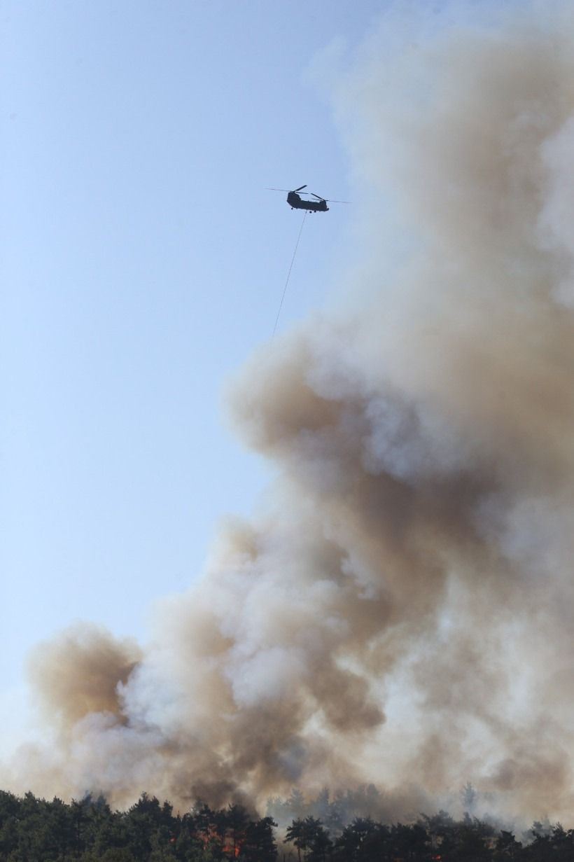 Gelibolu alevlerle boğuşuyor! 126 kişi tahliye edildi! - Sayfa 3