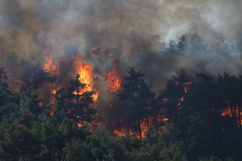 Gelibolu alevlerle boğuşuyor! 126 kişi tahliye edildi! - Sayfa 4
