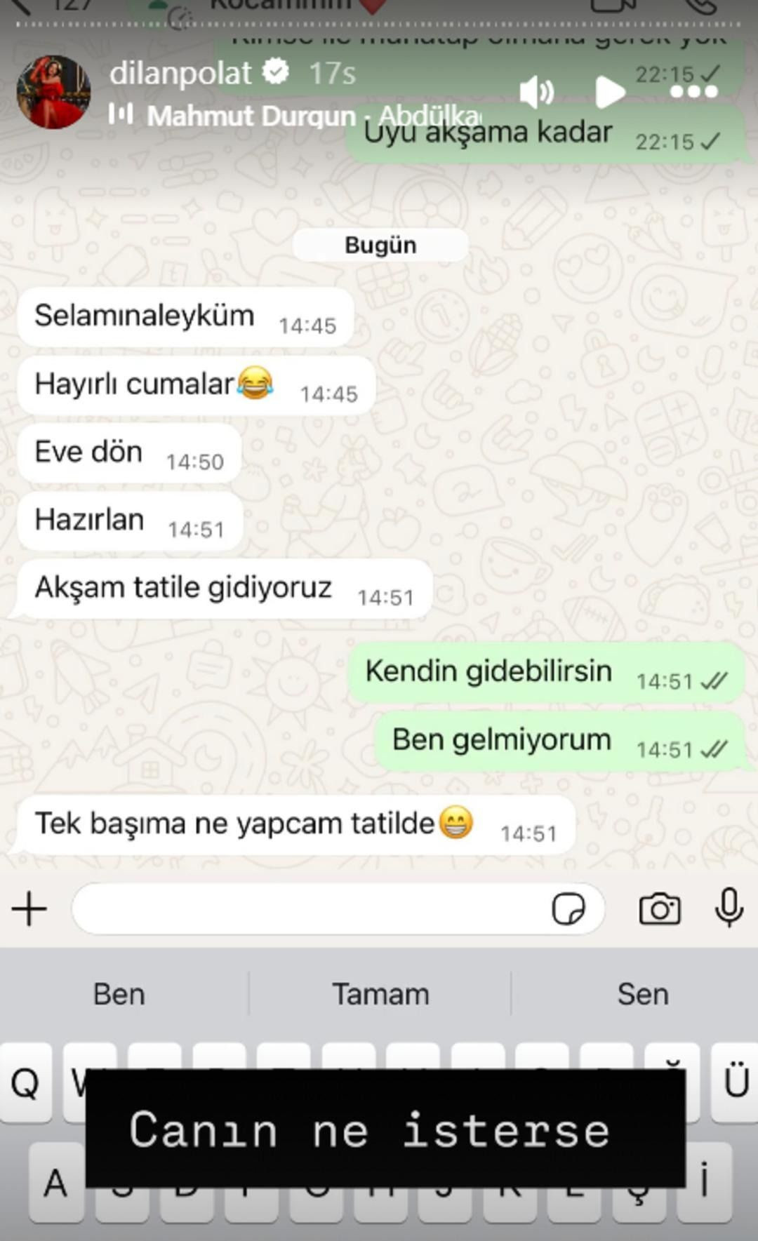 Evden kovulan Dilan Polat kocası Engin Polat ile mesajlarını ifşa etti! "Kertenkeleye benziyorsun" - Sayfa 4