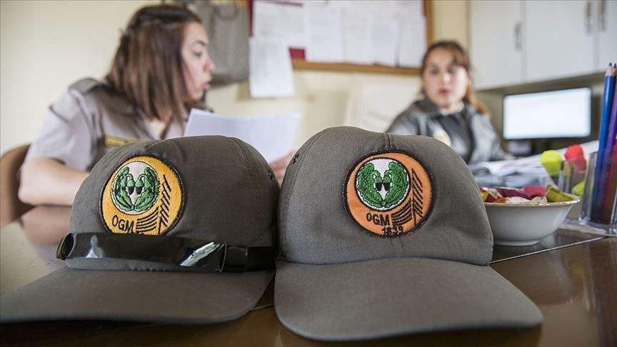 OGM İŞÇİ ALIMI BAŞVURU EKRANI 2025: Orman Genel Müdürlüğü daimi işçi alımı başvuru şartları neler? - Sayfa 3