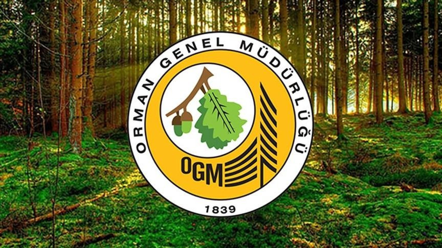 OGM İŞÇİ ALIMI BAŞVURU EKRANI 2025: Orman Genel Müdürlüğü daimi işçi alımı başvuru şartları neler? - Sayfa 2