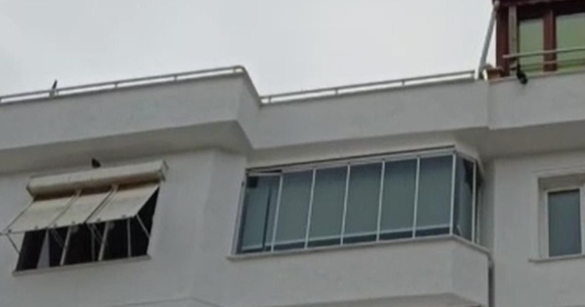 Emekli Emniyet Müdürü'nden çarpıcı Güllü yorumu! Düştü mü yoksa itildi mi? - Sayfa 2