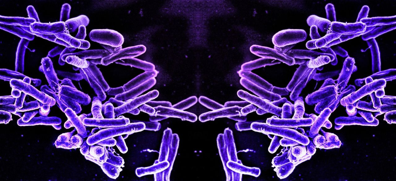 Bilim kurgu senaryosu gibi ama gerçek: Ayna yaşam nedir? Kansere çare mi, küresel tehdit mi? - Sayfa 2