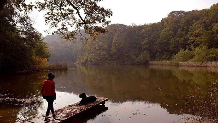 Eşine kanıt göstermek için videoya çekti... Belgrad Ormanı'nda yasak aşk dehşeti - Sayfa 4