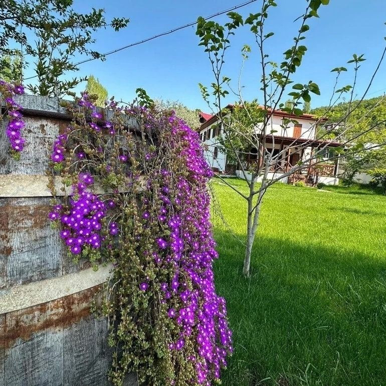 Deprem korkusu ünlü oyuncuyu evinden etti! “Maalesef fay hattı üzerinde” - Sayfa 3