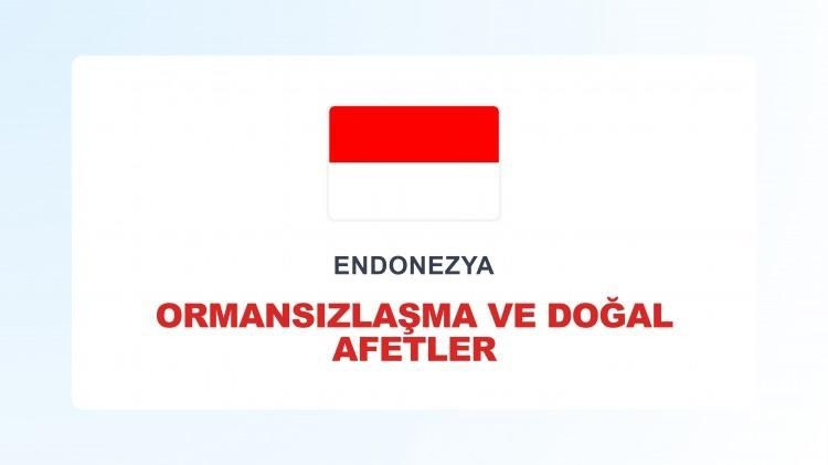 Ülkelerin başına bela olan sıkıntılar açıklandı: Dünya Türkiye'yi bu sorunla tanıyor! - Sayfa 85