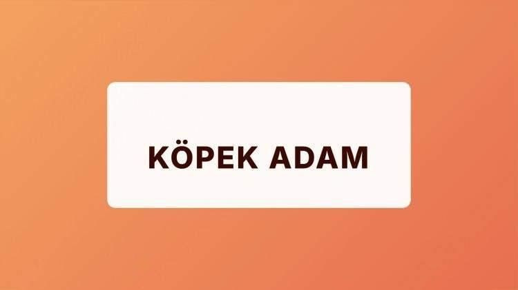 İşte Yargıtay'a göre hakaret sayılan kelimeler! Şaka bile olsa söylemeyin… - Sayfa 3