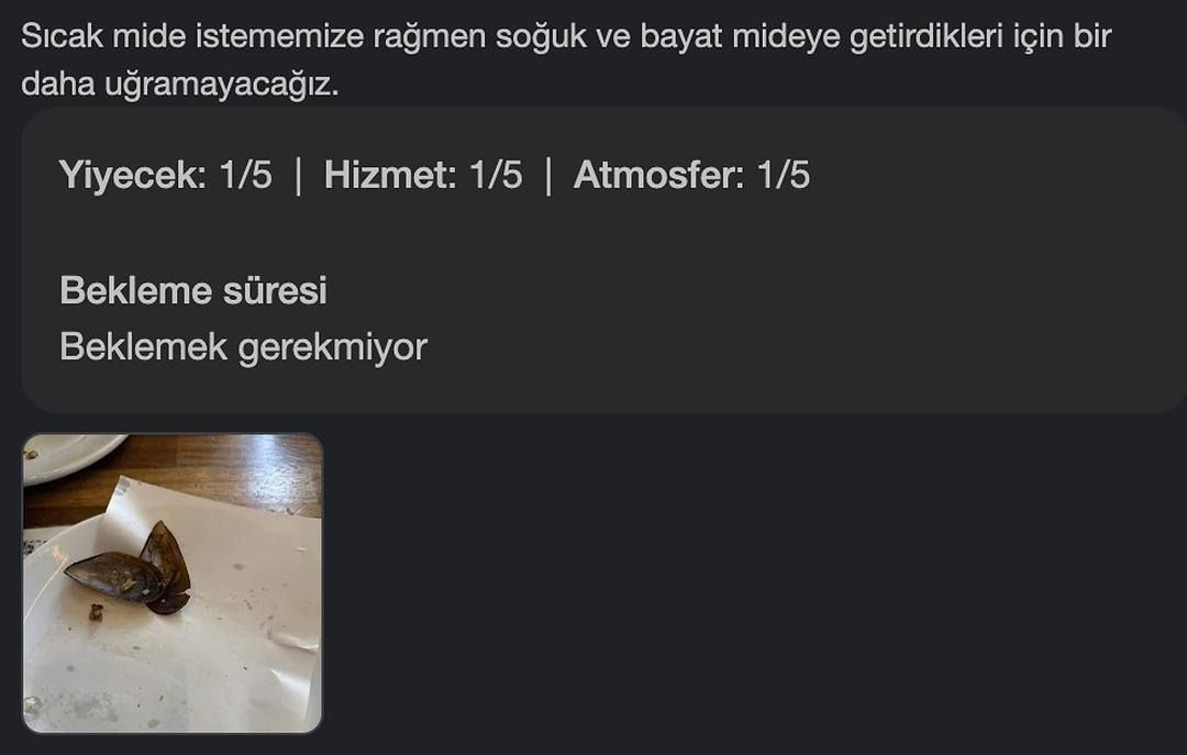 Gıda faciasında soruşturma genişliyor! Gurbetçi aileyi ölüme götüren detay kan dondurdu! - Sayfa 4