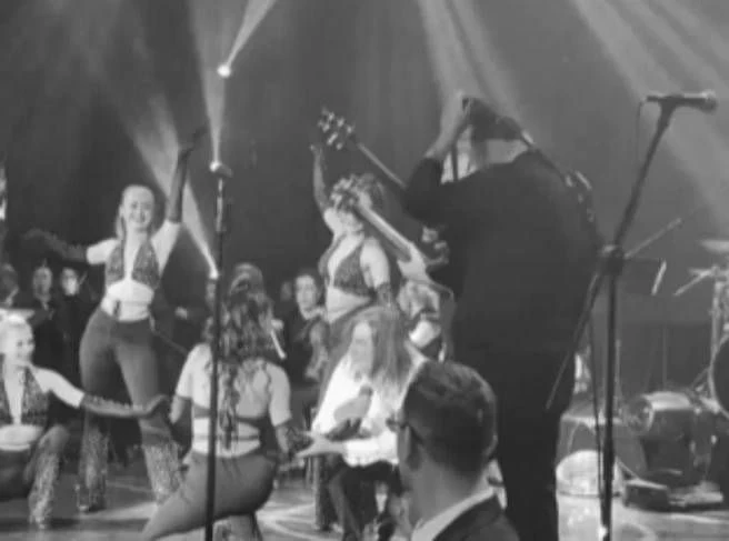 Ünlü şarkıcı hayranlarını korkuttu: Sahnede bir anda yere düştü - Sayfa 3