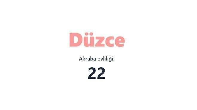 Akraba evliliğinin en fazla olduğu iller açıklandı! Birinciden çok ikinci şaşırttı… - Sayfa 14