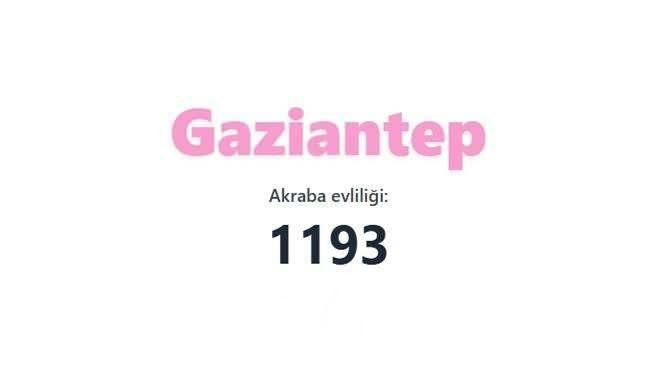 Akraba evliliğinin en fazla olduğu iller açıklandı! Birinciden çok ikinci şaşırttı… - Sayfa 79