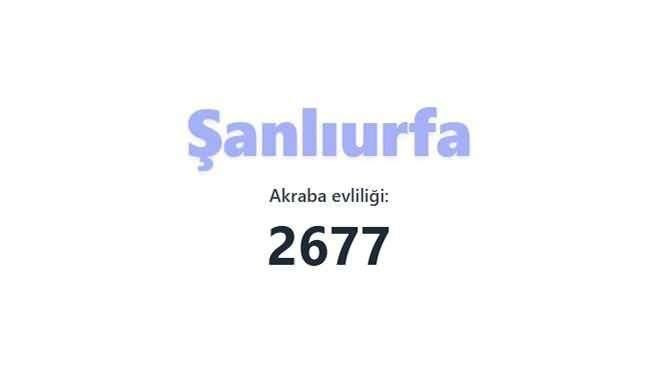 Akraba evliliğinin en fazla olduğu iller açıklandı! Birinciden çok ikinci şaşırttı… - Sayfa 81