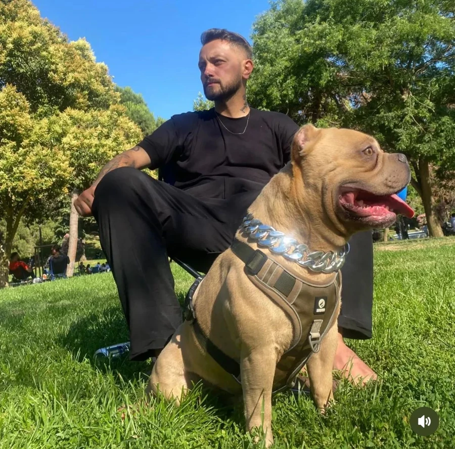 Şişli'de katliam gibi kaza! Acı haber geldi: O detay yürekleri burktu - Sayfa 3