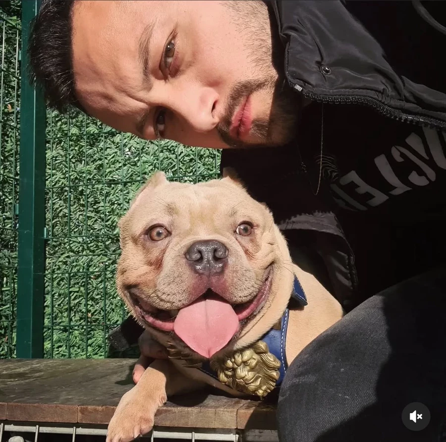 Şişli'de katliam gibi kaza! Acı haber geldi: O detay yürekleri burktu - Sayfa 4