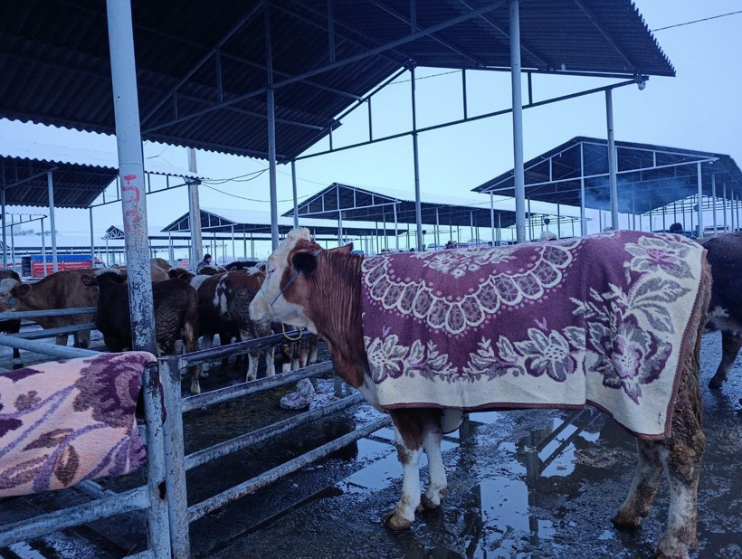 Kış Türkiye'yi sardı! Kent merkezleri beyaza büründü... - Sayfa 4