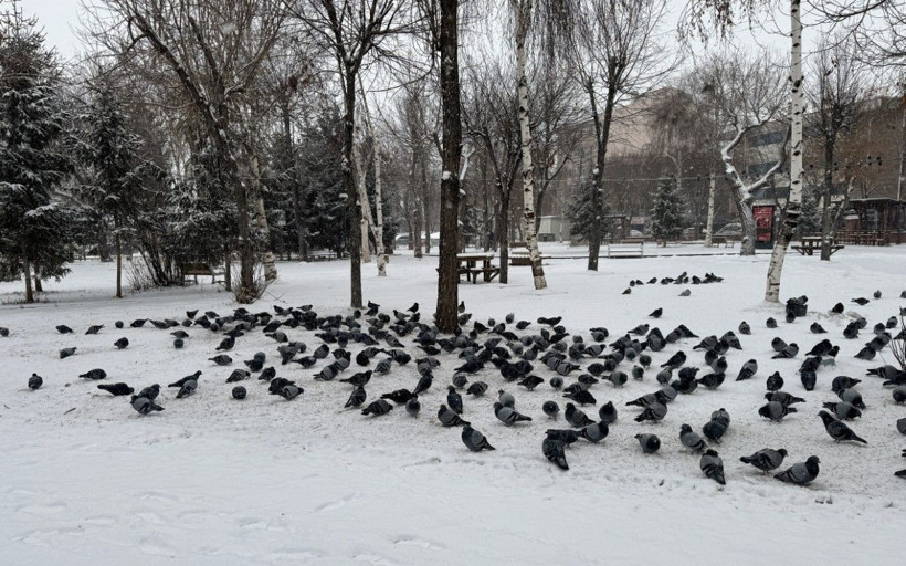 Kış Türkiye'yi sardı! Kent merkezleri beyaza büründü... - Sayfa 9
