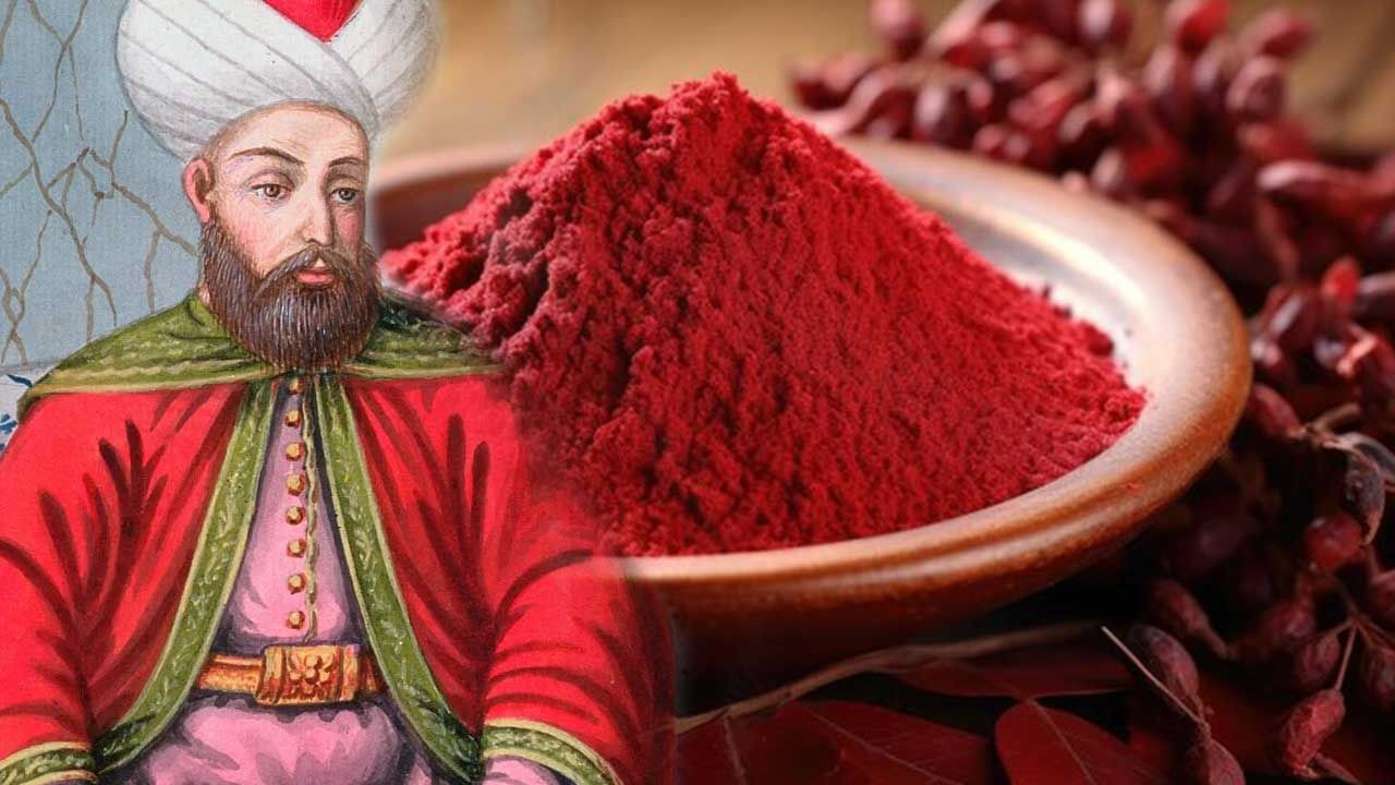 Canan Karatay'ın bahsettiği 'her derde deva' o baharat! 'Ölümsüzlük iksiri gibi' - Sayfa 3