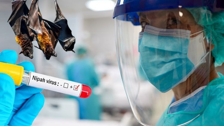 Dünyada yeni virüs alarmı: Aşı yok, tedavi yok! Ülkeler harekete geçti... - Sayfa 8