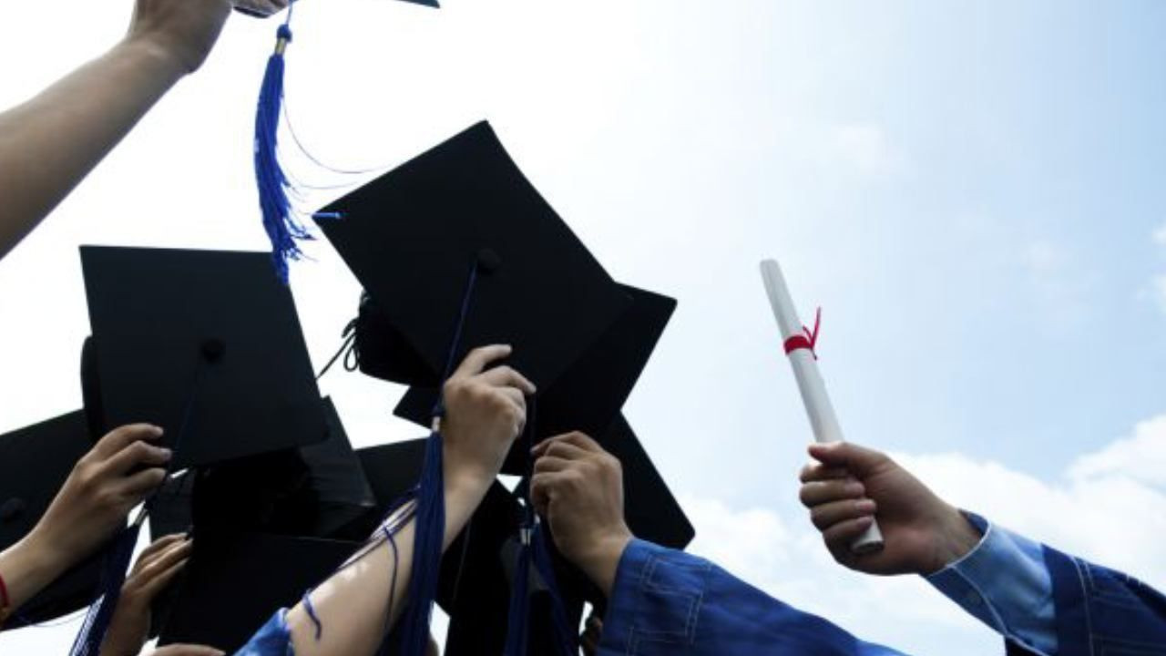 Türkiye'de bu üniversitelerde okuyanın işi hazır! Diploması altın değerinde! - Sayfa 1