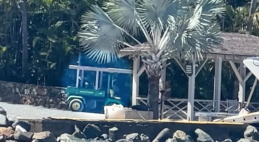 Herkesin merak ettiği adaya gizlice girmişti! Epstein dava sonrası tekrar gündem oldu! - Sayfa 2