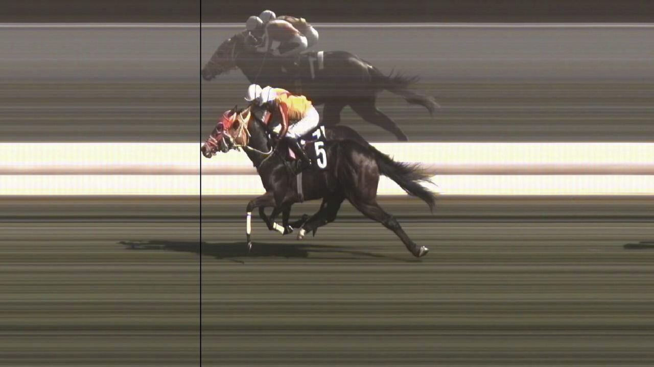 Şampiyon at nasıl kavurma oldu? Latch’ın başına gelenler gün yüzüne çıktı - Sayfa 4