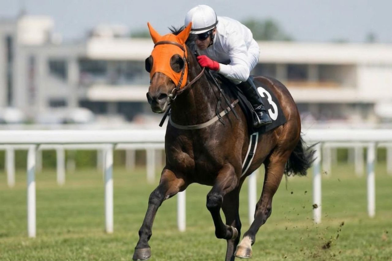 Şampiyon at nasıl kavurma oldu? Latch’ın başına gelenler gün yüzüne çıktı - Sayfa 3