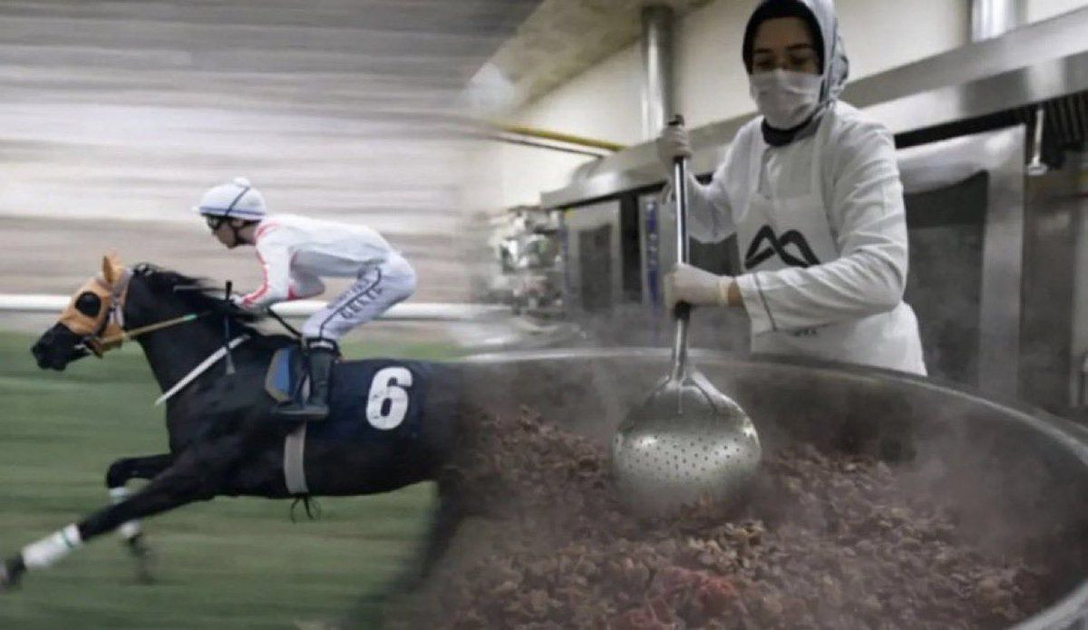 Şampiyon at nasıl kavurma oldu? Latch’ın başına gelenler gün yüzüne çıktı - Sayfa 6