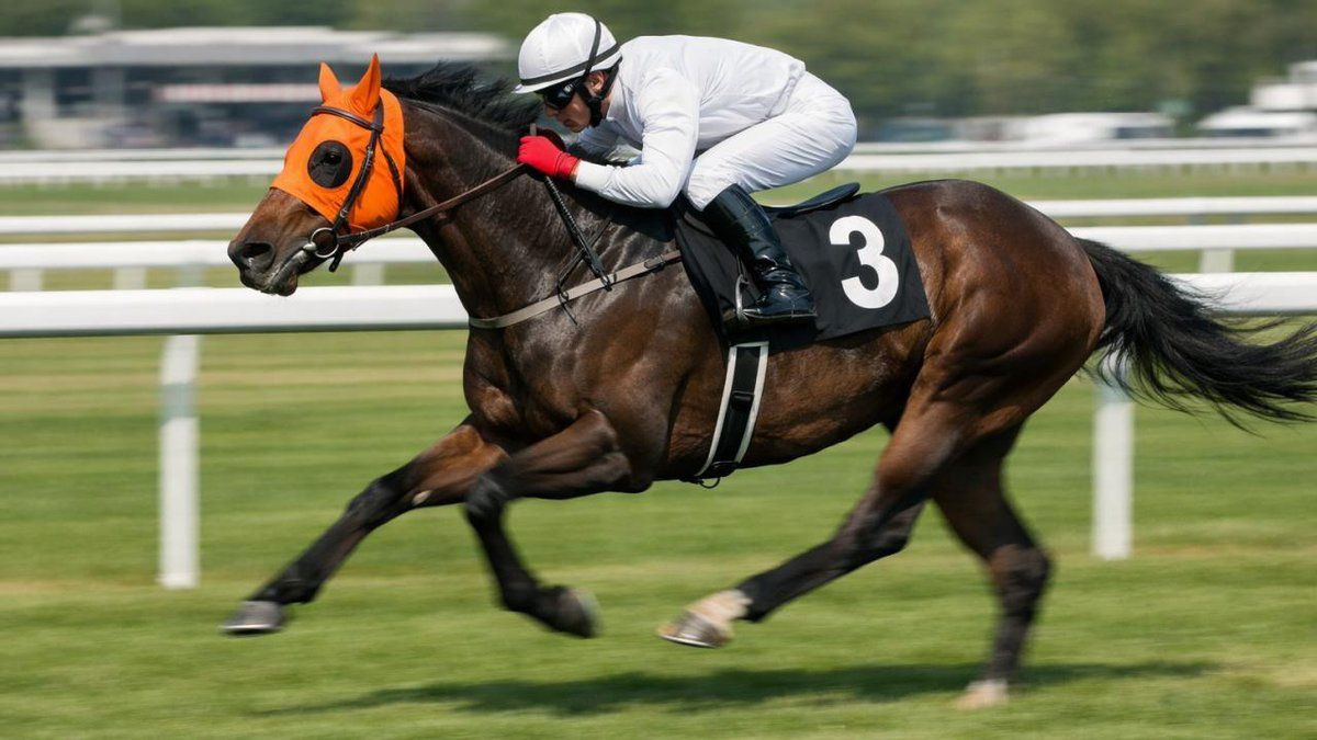 Şampiyon at nasıl kavurma oldu? Latch’ın başına gelenler gün yüzüne çıktı - Sayfa 8