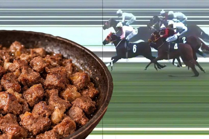 Şampiyon at nasıl kavurma oldu? Latch’ın başına gelenler gün yüzüne çıktı - Sayfa 9