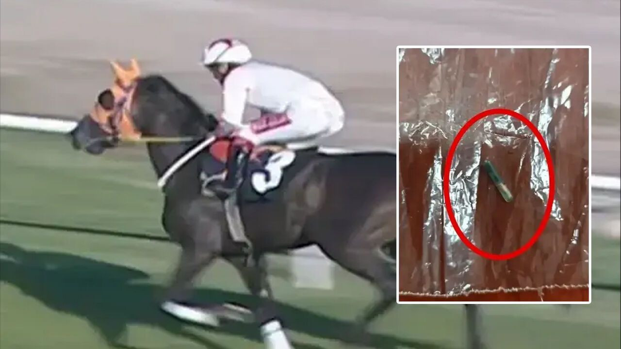 Şampiyon at nasıl kavurma oldu? Latch’ın başına gelenler gün yüzüne çıktı - Sayfa 11