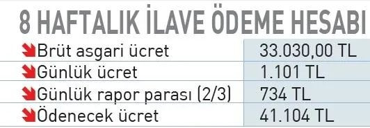 Anneye en az 41 bin TL ek doğum parası: Toplam ödeme 100 bini geçecek - Sayfa 9