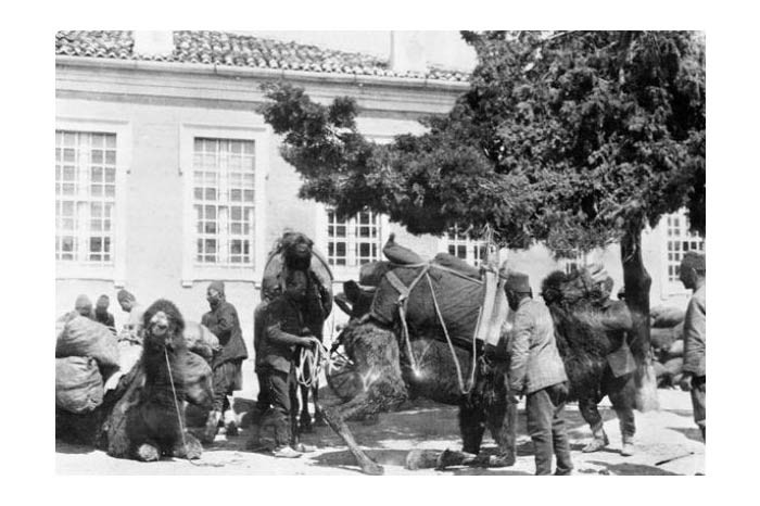 SANDIKTAN ÇIKAN ÇANAKKALE FOTOĞRAFLARI - Sayfa 18