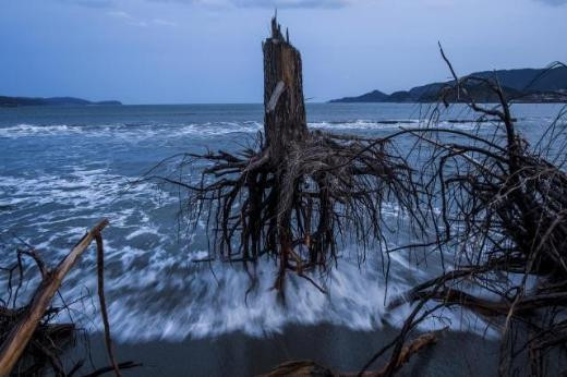 DÜNYA BASIN FOTOĞRAFLARI 2012 - Sayfa 4