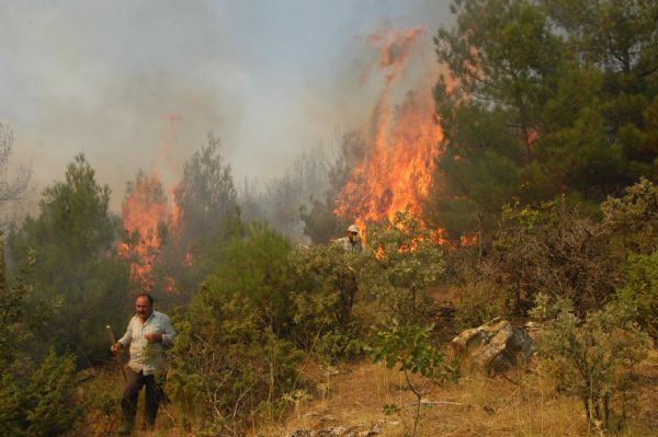 2012'NİN EN İYİ BASIN FOTOĞRAFLARI! - Sayfa 64