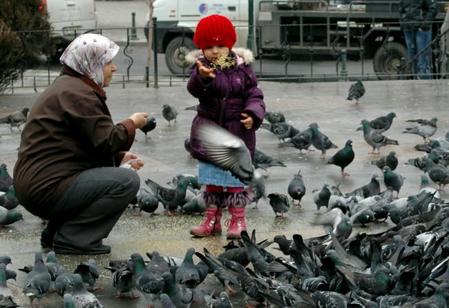 2012'NİN EN İYİ BASIN FOTOĞRAFLARI! - Sayfa 49