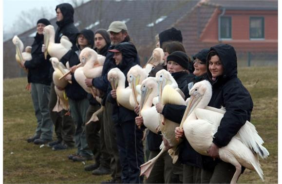 İşte 2013 yılının en şaşırtıcı fotoğrafları - Sayfa 8