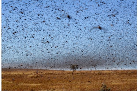 İşte 2013 yılının en şaşırtıcı fotoğrafları - Sayfa 16