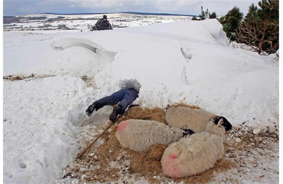 İşte 2013 yılının en şaşırtıcı fotoğrafları - Sayfa 71