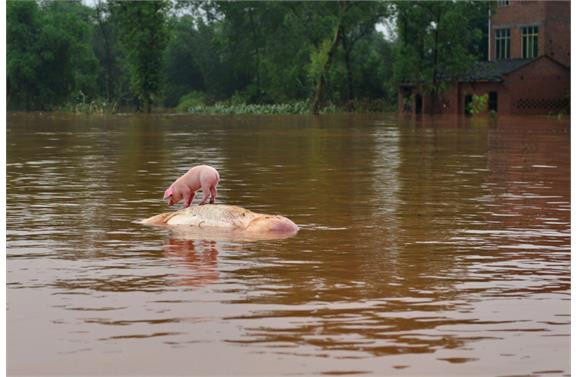 İşte 2013 yılının en şaşırtıcı fotoğrafları - Sayfa 89