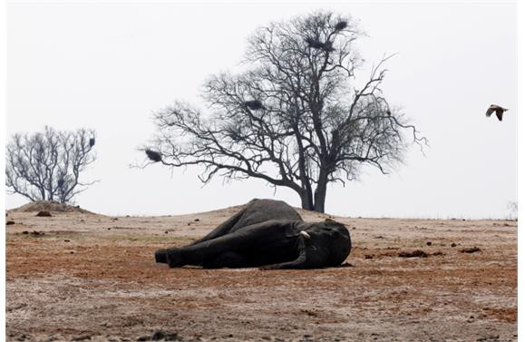 İşte 2013 yılının en şaşırtıcı fotoğrafları - Sayfa 125