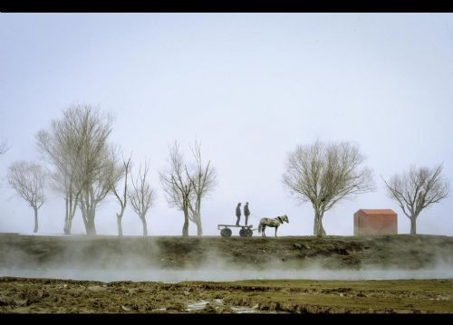 AA'dan 2014'ün en iyi fotoğrafları - Sayfa 19