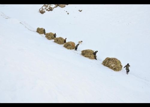 AA'dan 2014'ün en iyi fotoğrafları - Sayfa 22